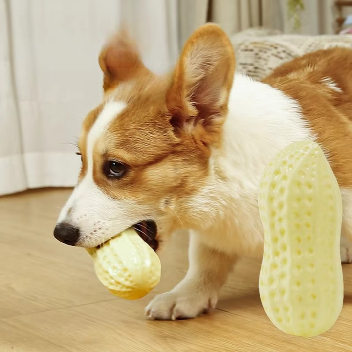 Durable squeaky peanut chew toy for dogs Bowlift