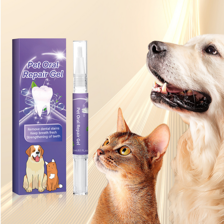 Dental Care Pen for Pets Bowlift