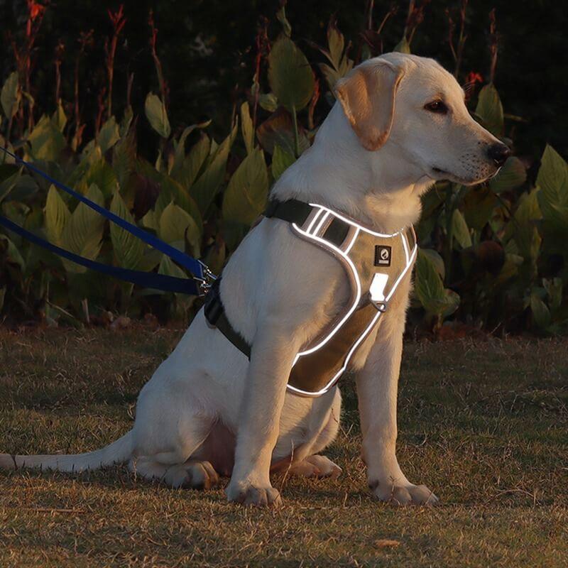 PawsControl - The Ultimate No Pull Dog Harness