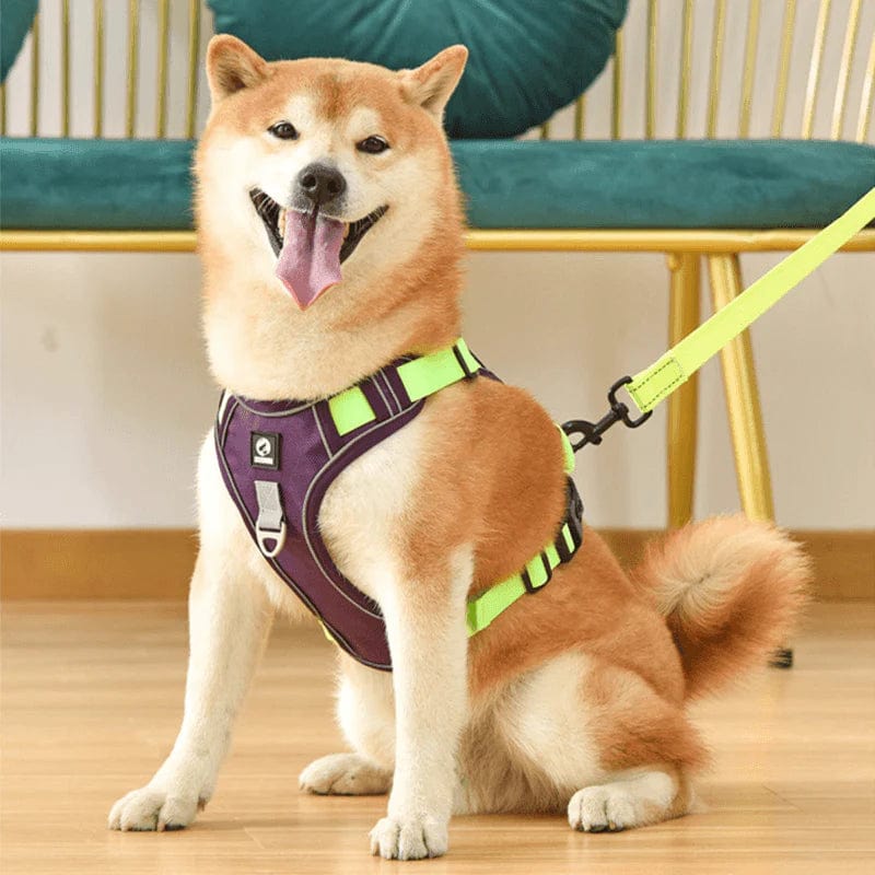 PawsControl - The Ultimate No Pull Dog Harness