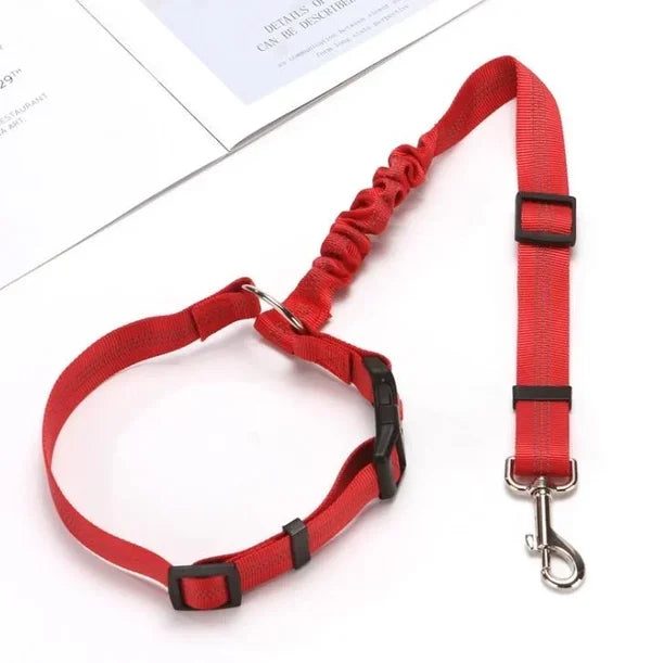 Adjustable Car Dog Leash | Bowlift