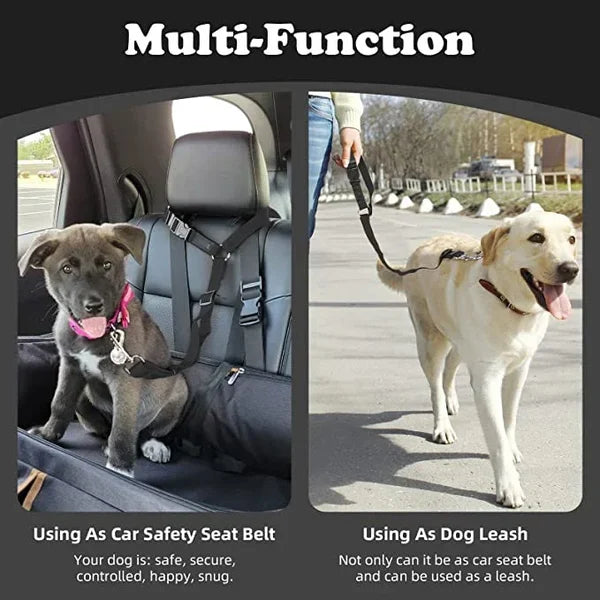 Adjustable Car Dog Leash | Bowlift