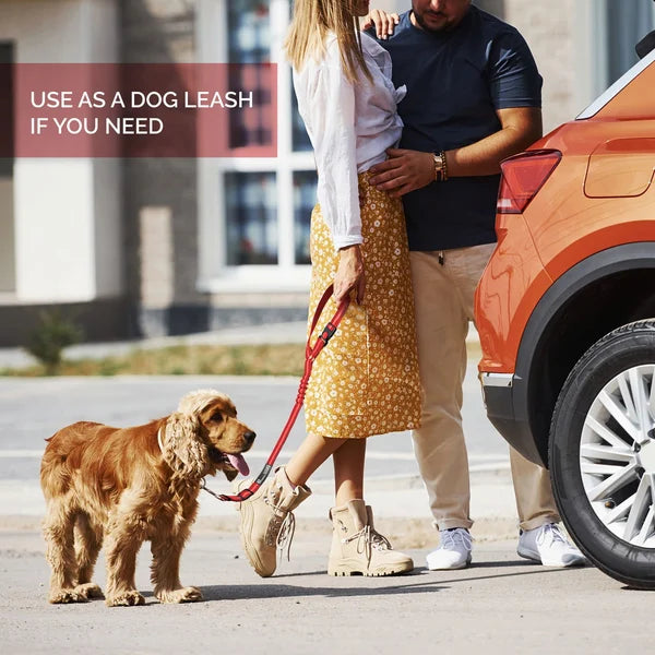 Adjustable Car Dog Leash | Bowlift