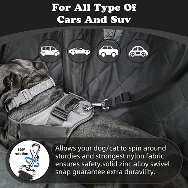 Adjustable Car Dog Leash | Bowlift