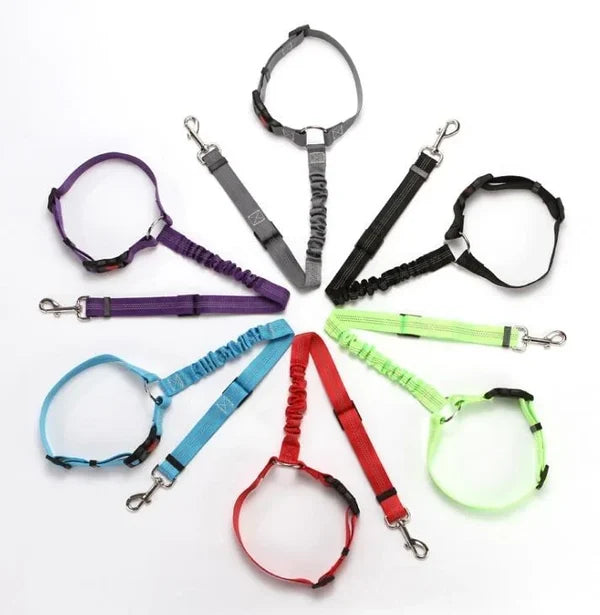 Adjustable Car Dog Leash | Bowlift