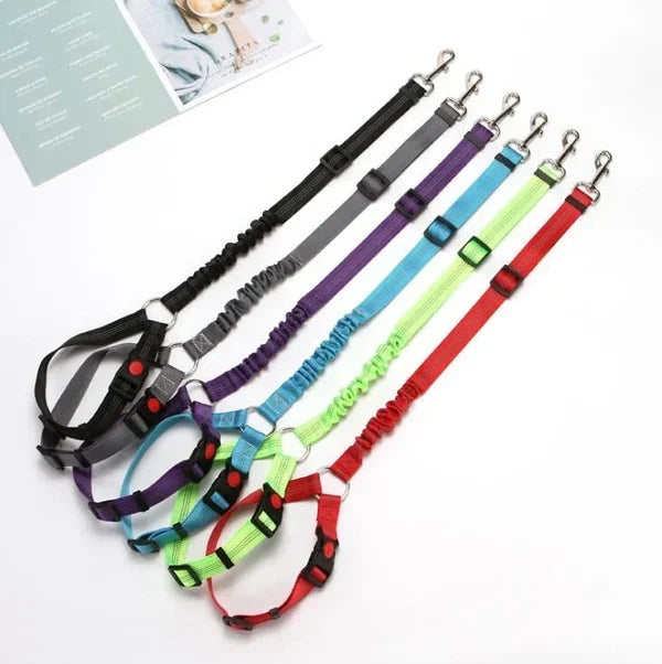 Adjustable Car Dog Leash | Bowlift