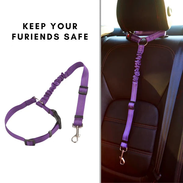 Adjustable Car Dog Leash | Bowlift