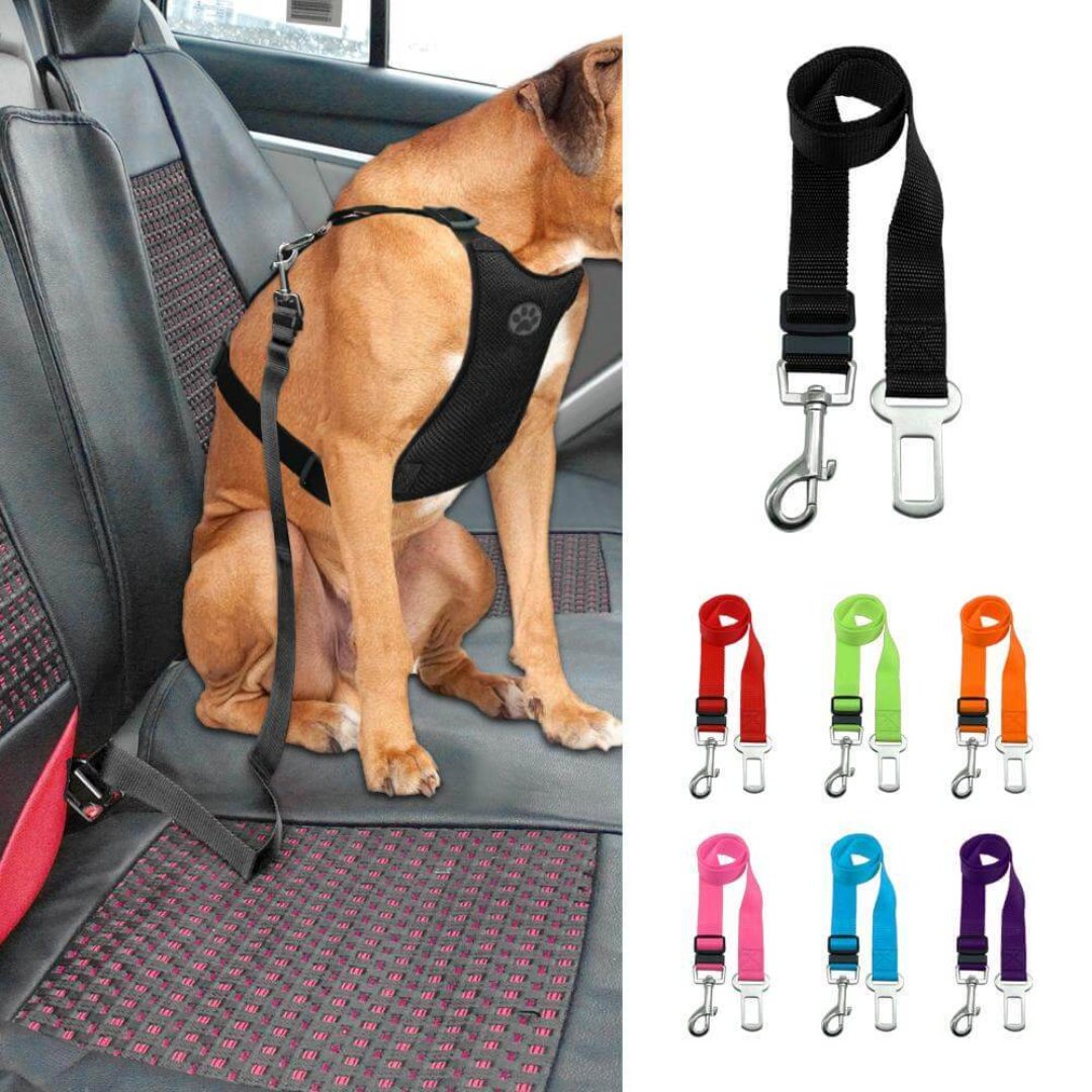 BowLift | Pupguard - Adjustable Dog Seat Belt for Car, Rotating Click Closure