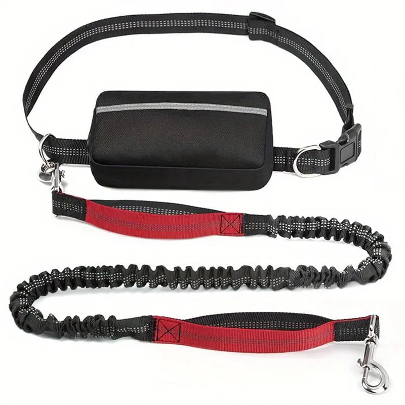 BowLift | Hands-free walking – with leash & bag in one