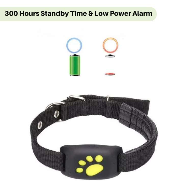 BowLift | #1 Find  GPS Cat Tracker with Real-Time Location, Waterproof Design, and Activity Monitoring for Pet Safety and Tracking