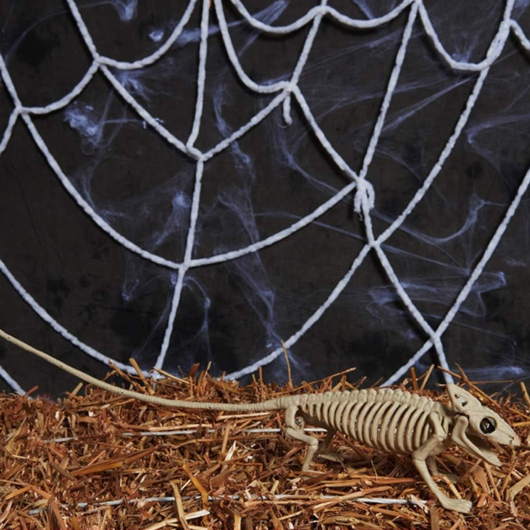 BowLift | SpookySkeleton – Gothic Wall Art Hanging Ornament for Halloween