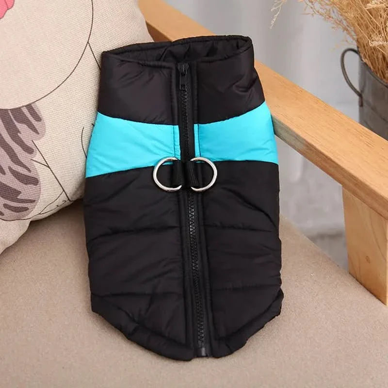BowLift | Warm & Waterproof Winter Jacket for Dogs