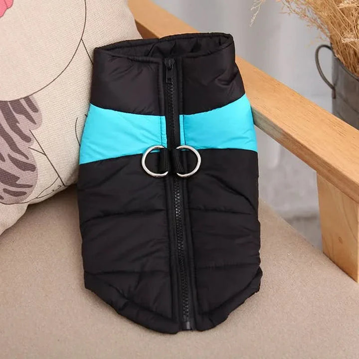 BowLift | Warm & Waterproof Winter Jacket for Dogs