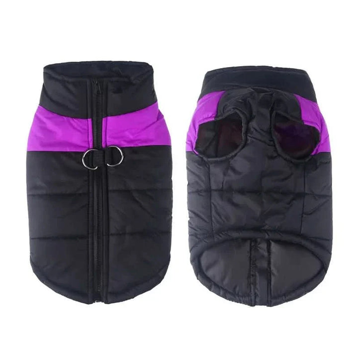 BowLift | Warm & Waterproof Winter Jacket for Dogs