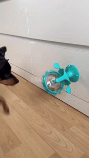 BowLift | Interactive Pet Food Dispenser Toy