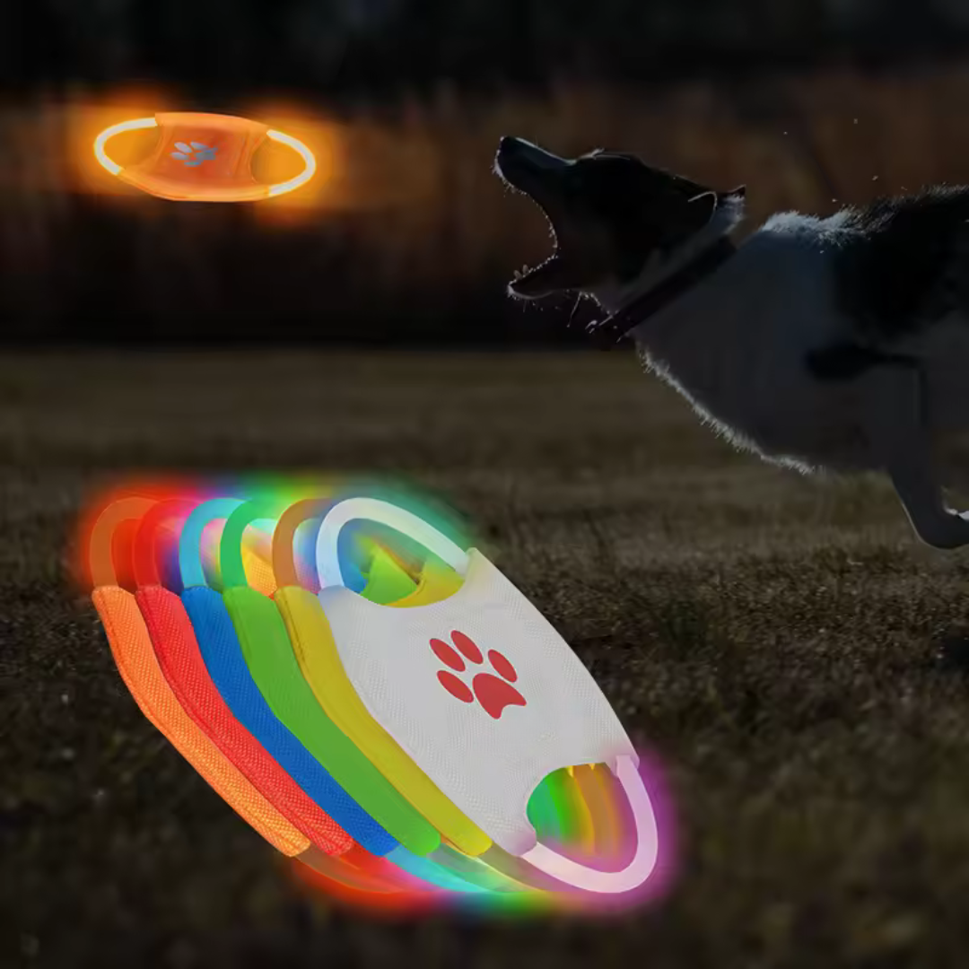 LED Frisbee for dogs rechargeable and waterproof Bowlift