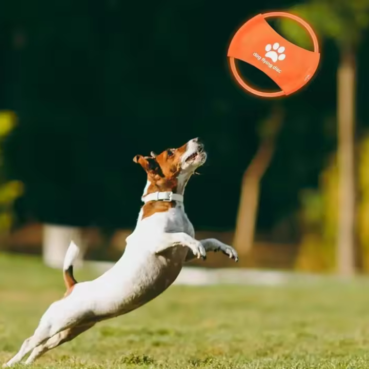 LED Frisbee for dogs rechargeable and waterproof Bowlift