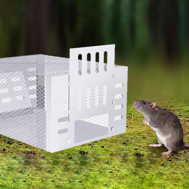 BowLift | Humane Mouse Trap for Safe & Effective Pest Control – Reusable Large Capacity