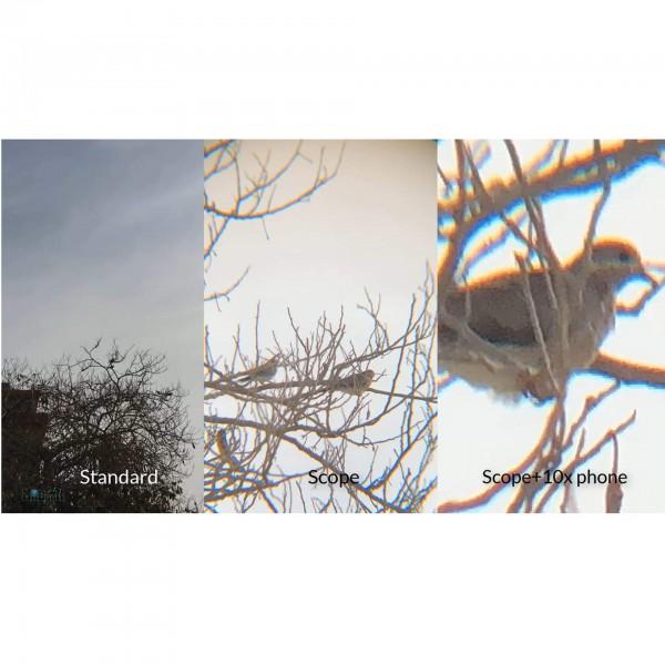 BowLift | PhoneScope™ Precision Lens Adapter