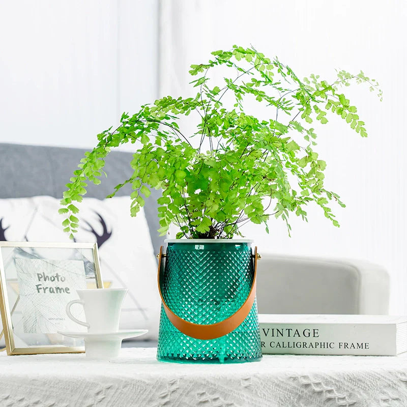 BowLift | Self-Watering Indoor Succulent Hydroponic Planter with Handle