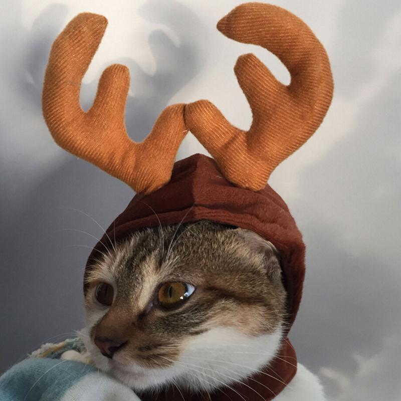 BowLift | FestivaPaws – Warm festive pet outfits that attract attention