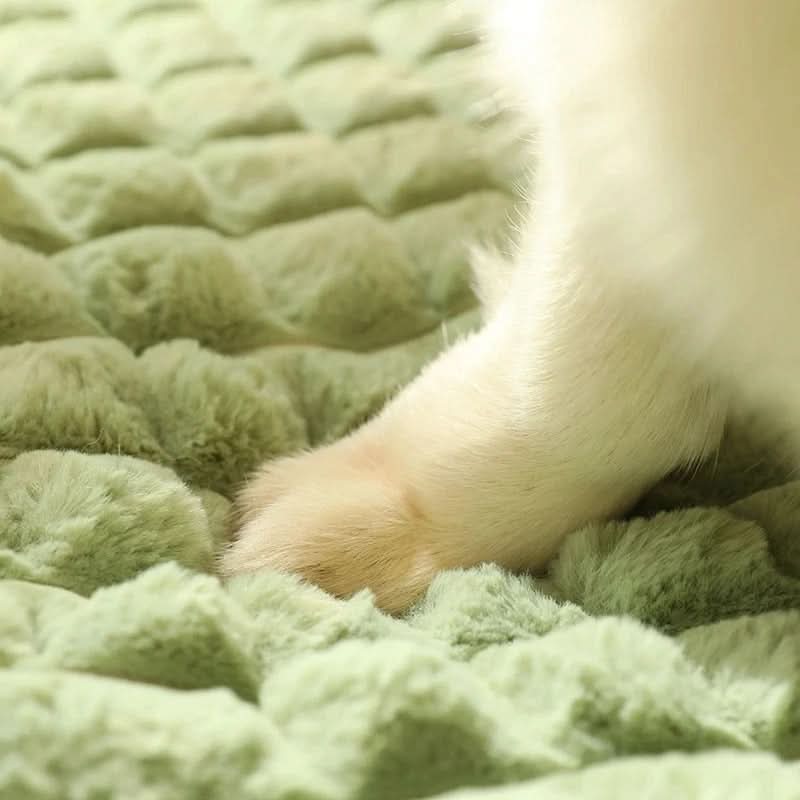 BowLift | PAWCLOUD - Washable Soft Dog Bed