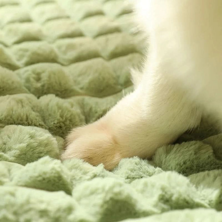 BowLift | PAWCLOUD - Washable Soft Dog Bed