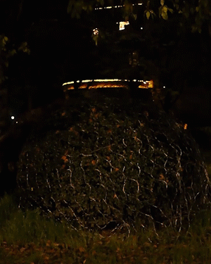 BowLift | Solar Fishing Net Light