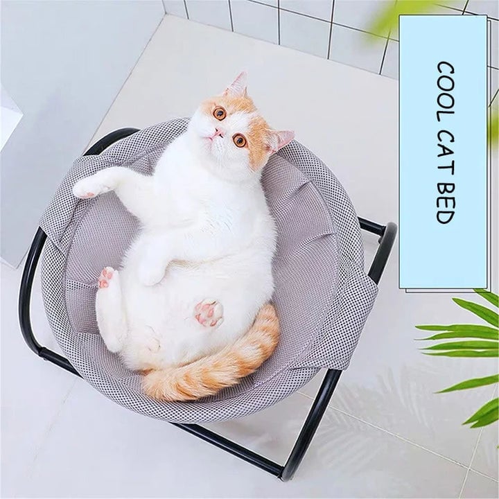 BowLift | Floor Cat Hammock-With Stand