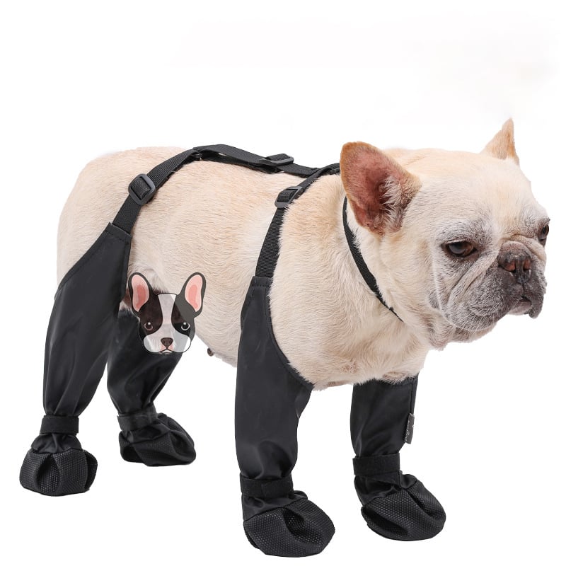 BowLift | PootShield Dog Boots – Weatherproof Shoes for Every Walk