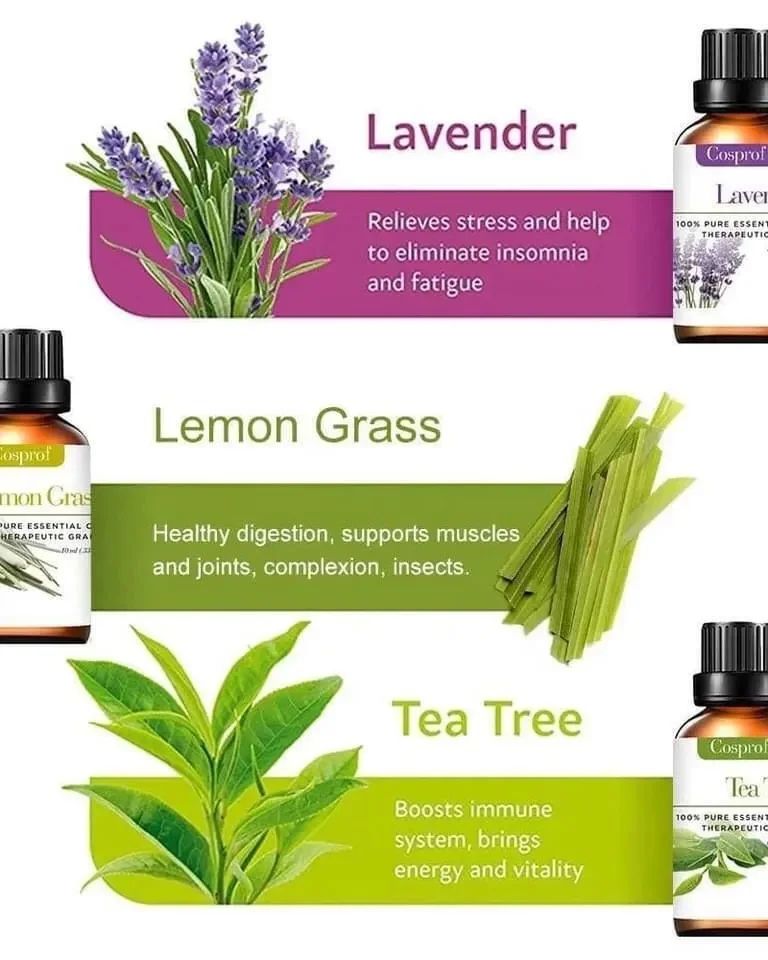 BowLift | Set Of 12 Pure Essential Oils Gift Set