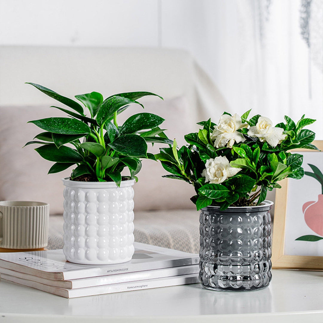 BowLift | Self-Watering Hydroponic Succulent Planter
