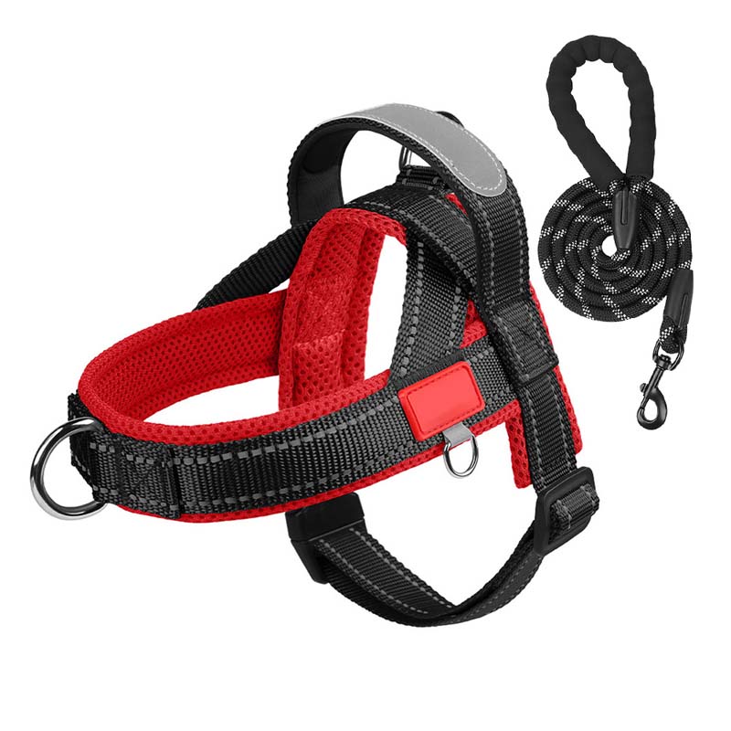 PawEase Comfort Harness — Relaxed Dressing and Unlimited Freedom for Your Dog | Bowlift
