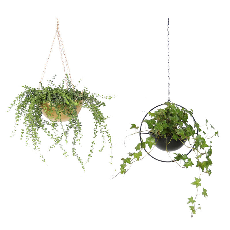 BowLift | Decorative Iron Hanging Flower Pot - Swinging Wall Planter Basket for Home