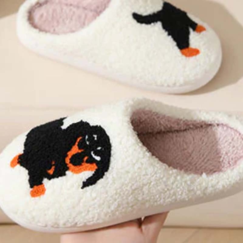 BowLift | PawSnooze – Cozy warmth and comfort that brings you joy