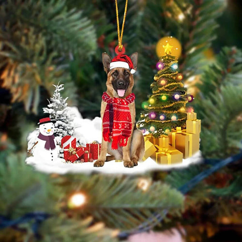 BowLift | Christmas Family Puppies Decorate Trees With Lights