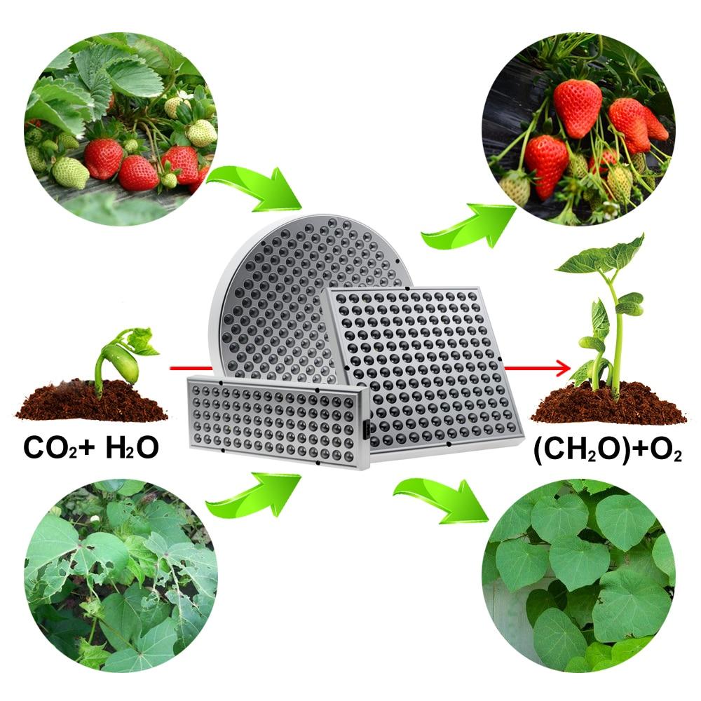 BowLift | Led Grow Lights - Plant Grow Light