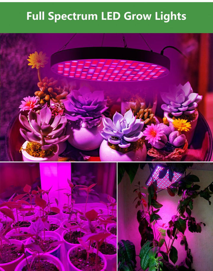 BowLift | Led Grow Lights - Plant Grow Light
