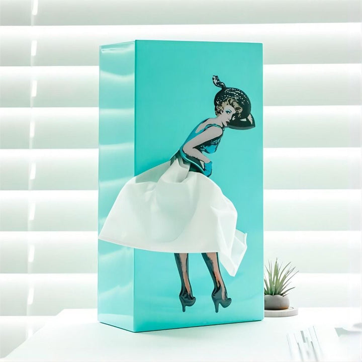 BowLift | AEROBOX – Flying Rock Tissue Box for Playful Home Decor