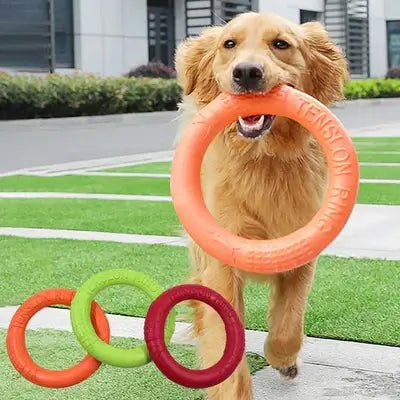 AeroFetch • Interactive Dog Toy - Interactive Dog Toy - BowLift