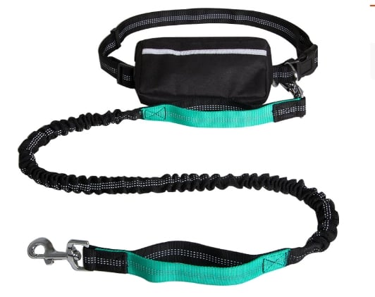 FlowLeash — Experience gentle control and relaxed walks without jerks! | Bowlift