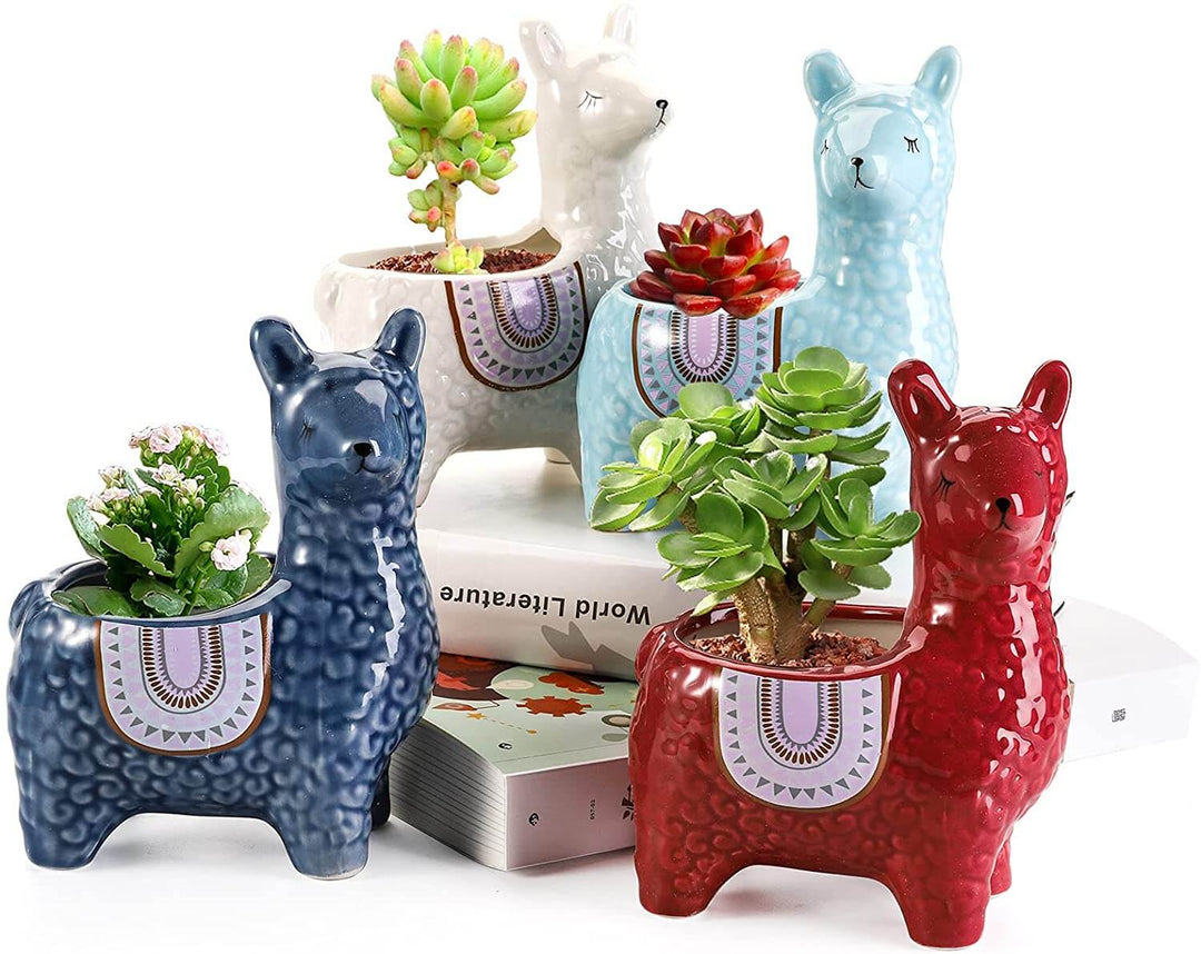 BowLift | Alpaca Ceramic Pots for Your Plants