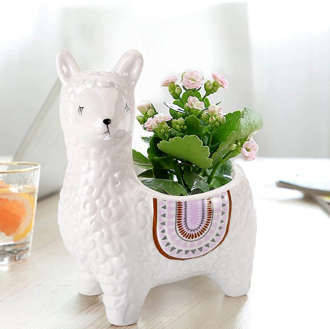 BowLift | Alpaca Ceramic Pots for Your Plants