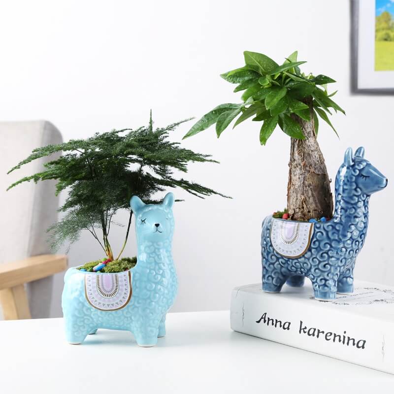 BowLift | Alpaca Ceramic Pots for Your Plants