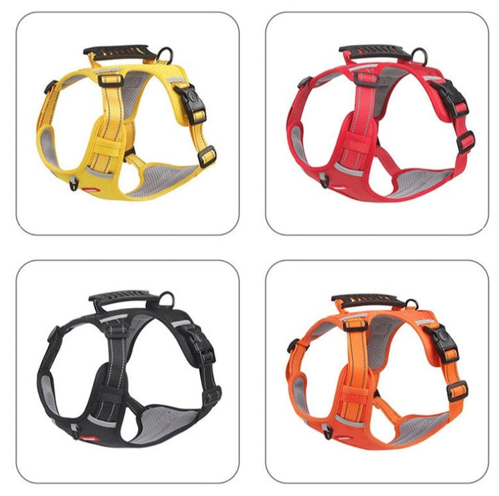 BowLift | Anti-Pull Dog Harness - FlexiFit