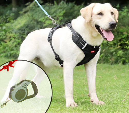 Anti-Trek Dog Harness - FlexiFit Bowlift