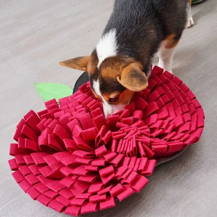 AppleForage • Dog Snuffle Mat - Dog Snuffle Mat - BowLift