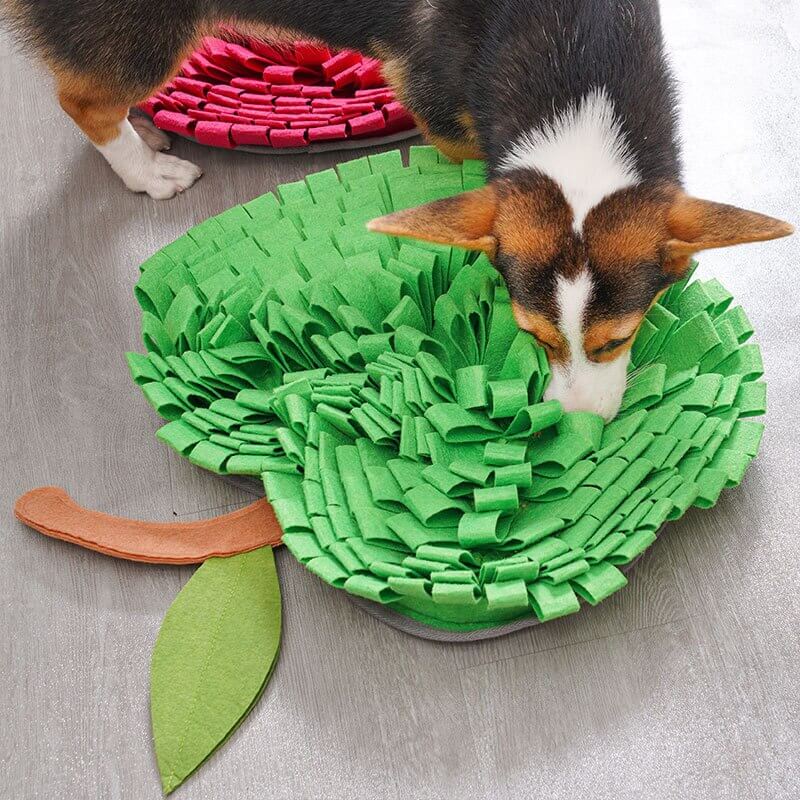 AppleForage • Dog Snuffle Mat - Dog Snuffle Mat - BowLift