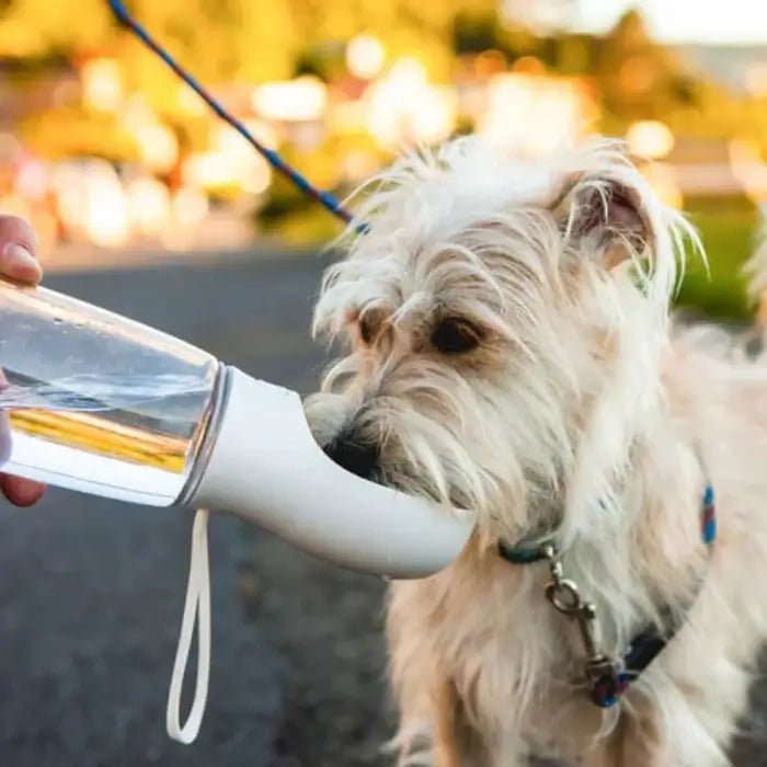 AquaPaws • Portable Dog Water Bottle - Portable Dog Water Bottle - BowLift