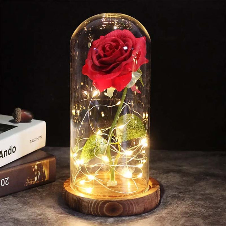 BowLift | Aurora Rose Under Glass Dome